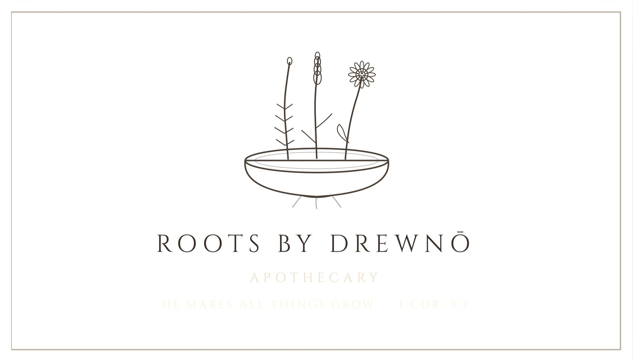 Roots by Drewnō
