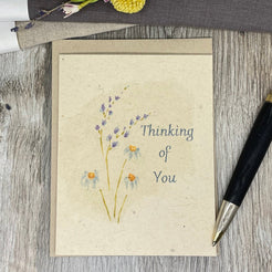 Plantable Greeting Cards image 9