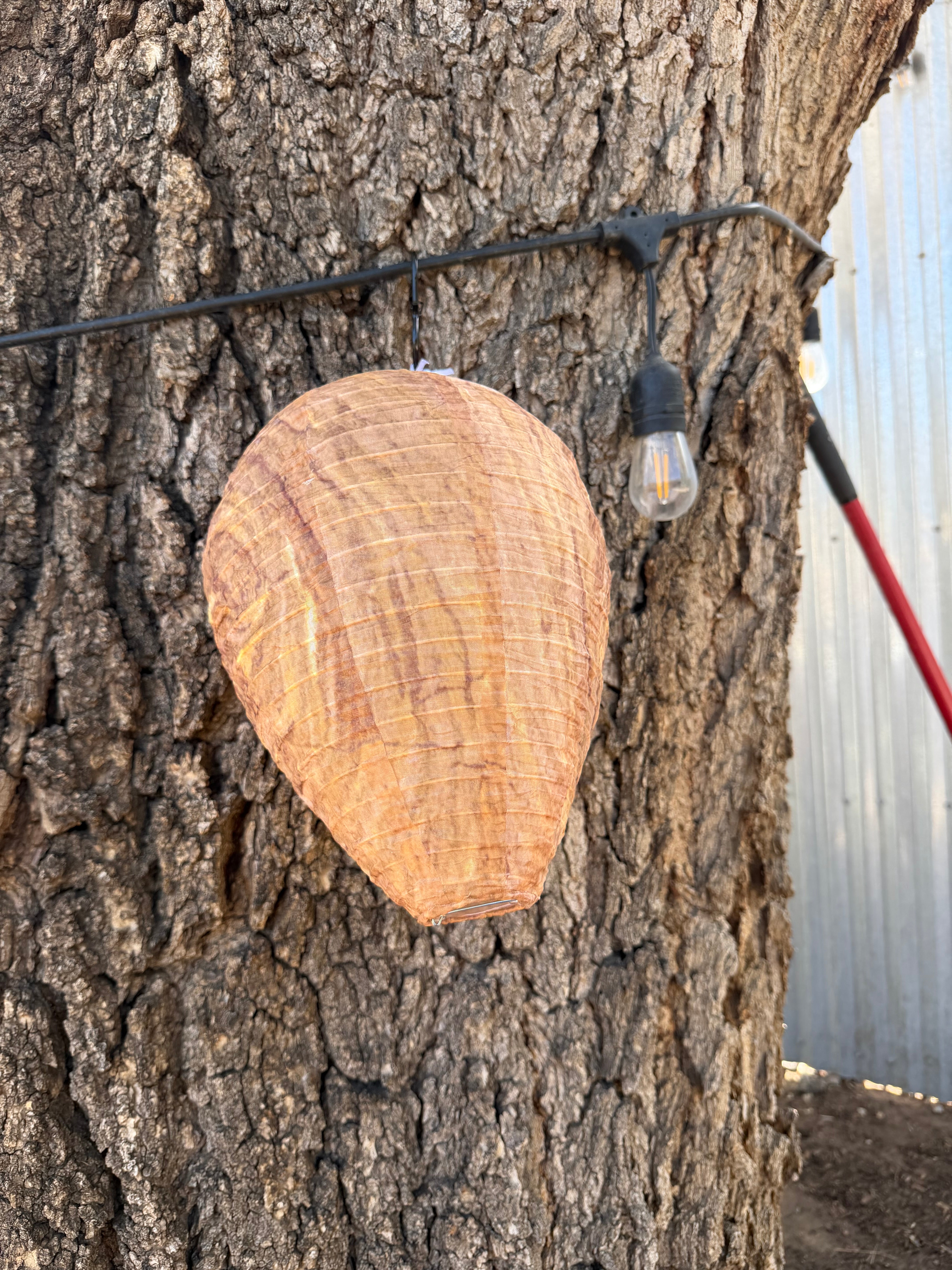 Wasp Nest Deterrants
